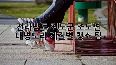전라남도 진도군 조도면 내병도리 계절별 청소 팁