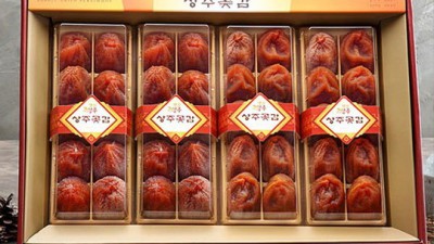 겨울 선물 고민 끝! 핵꿀팁 가득한 상주농협곶감 이야기🎁